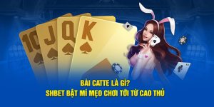Bài Catte Là Gì? SHBET Bật Mí Mẹo Chơi Tới Từ Cao Thủ
