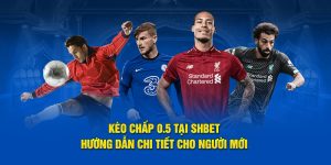 Kèo Chấp 0.5 Tại SHBET - Hướng Dẫn Chi Tiết Cho Người Mới