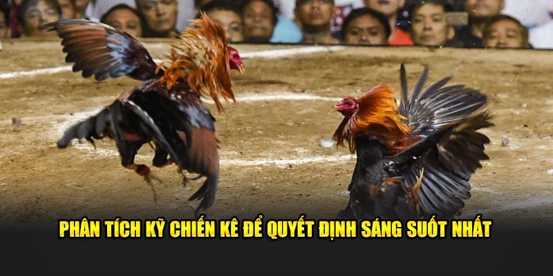 Phân tích kỹ chiến kê để quyết định sáng suốt nhất