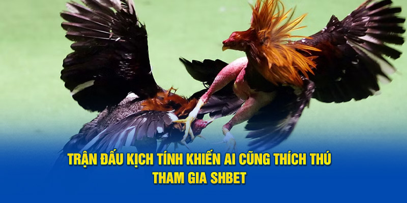 Trận đấu kịch tính khiến ai cũng thích thú tham gia SHBET